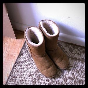 bearpaw boots